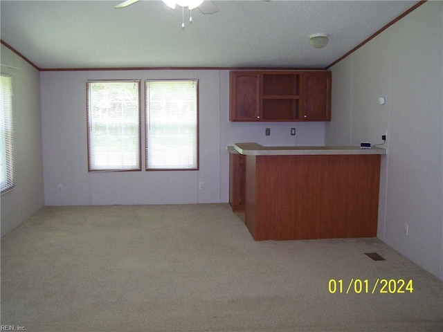 34026 Doctors Rd, Newsoms, VA 23874 - kitchen featuring carpet flooring, a ceiling fan, open shelves, brown cabinetry, and crown molding