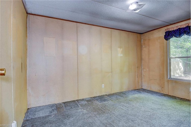 spare room with carpet floors and a textured ceiling