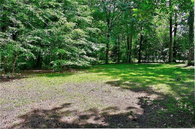 view of yard featuring a wooded view