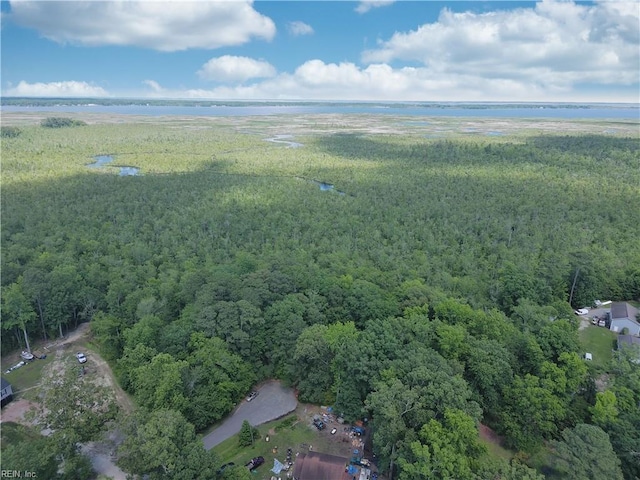 aerial view with a view of trees