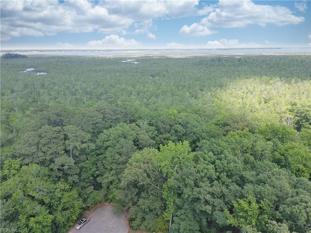 bird's eye view with a wooded view