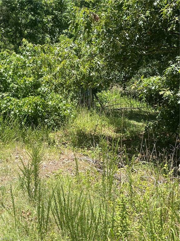 116 Hemlock St, Hertford, NC 27944