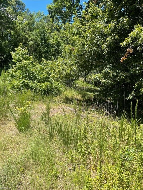 116 Hemlock St, Hertford, NC 27944