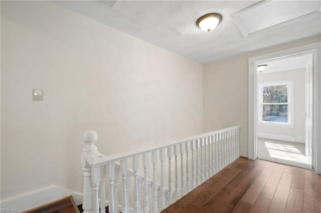 hallway featuring wood-type flooring