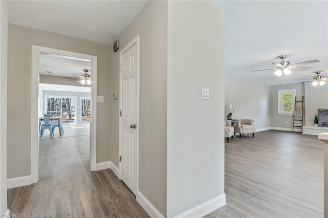 hall featuring light hardwood / wood-style flooring