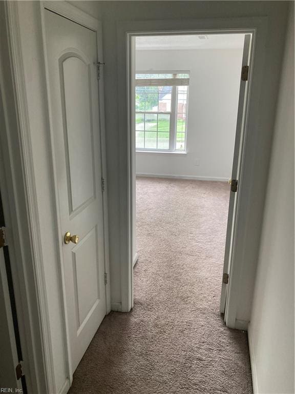 hallway featuring carpet floors