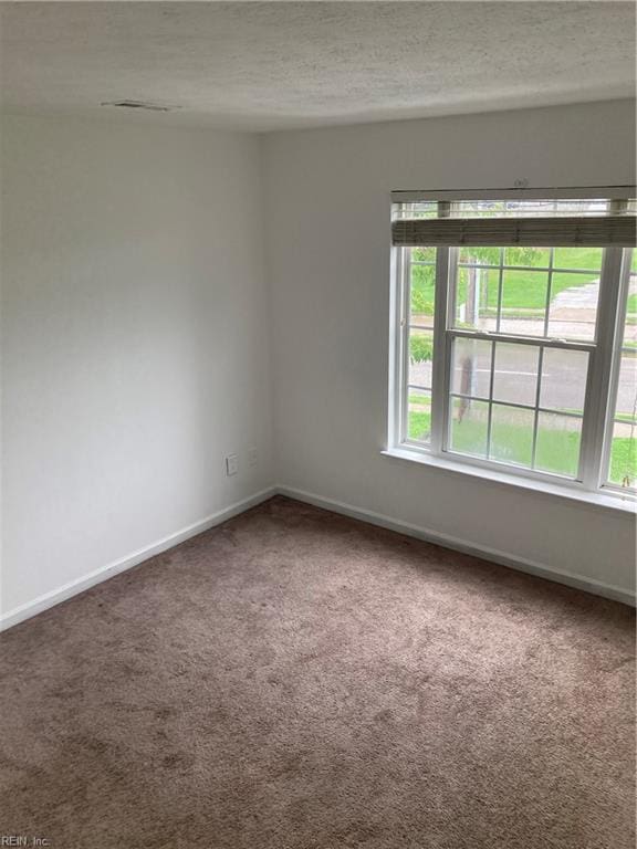 spare room featuring carpet flooring, a healthy amount of sunlight, and a textured ceiling