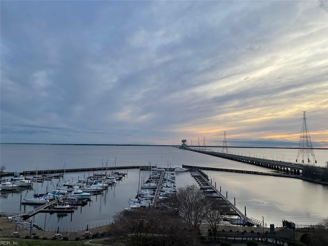 dock area with a water view