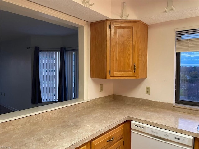 kitchen with dishwasher