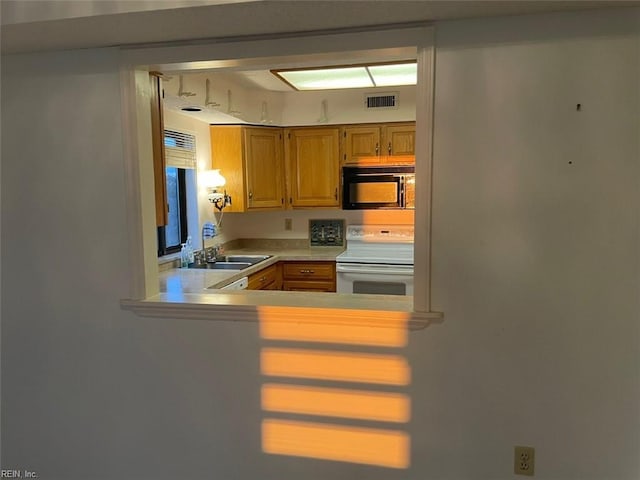 kitchen with a healthy amount of sunlight, sink, and white electric range oven