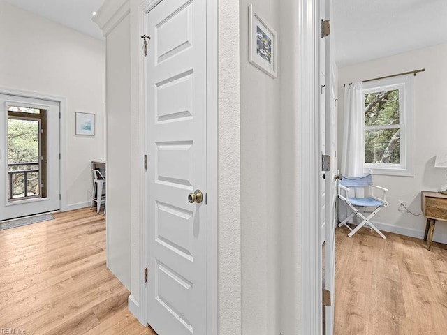 hallway with a healthy amount of sunlight and light wood-type flooring