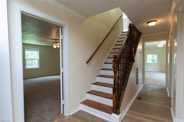 stairway with light carpet, crown molding, a wealth of natural light, and ceiling fan