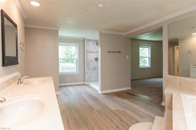 bathroom featuring plus walk in shower, ornamental molding, hardwood / wood-style floors, and double sink vanity