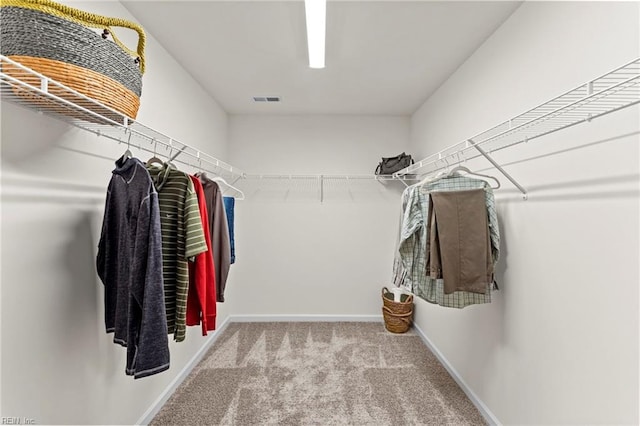 walk in closet with carpet floors