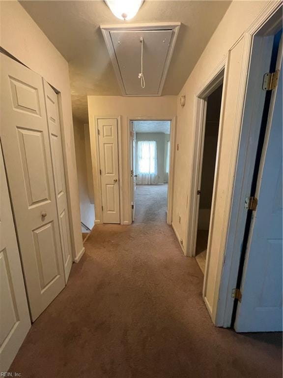 corridor with attic access and carpet floors