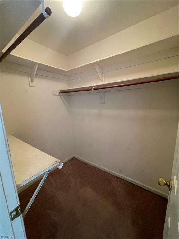 spacious closet featuring carpet