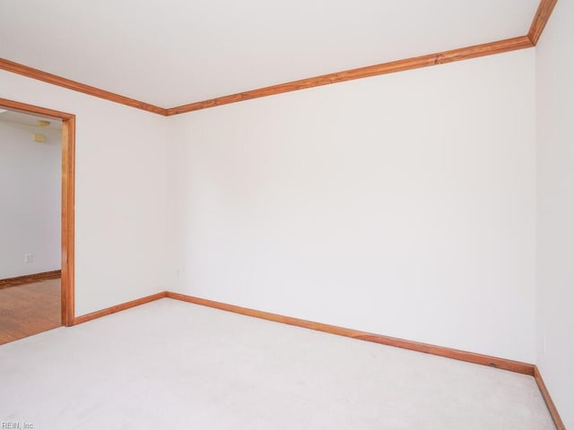 spare room featuring ornamental molding and carpet