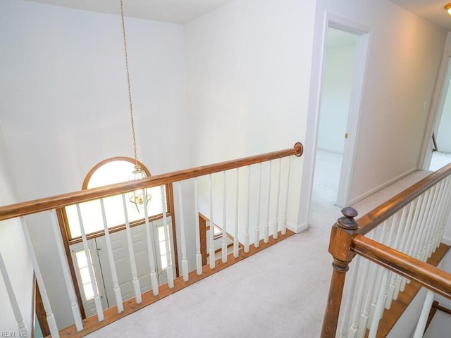 stairs featuring carpet floors