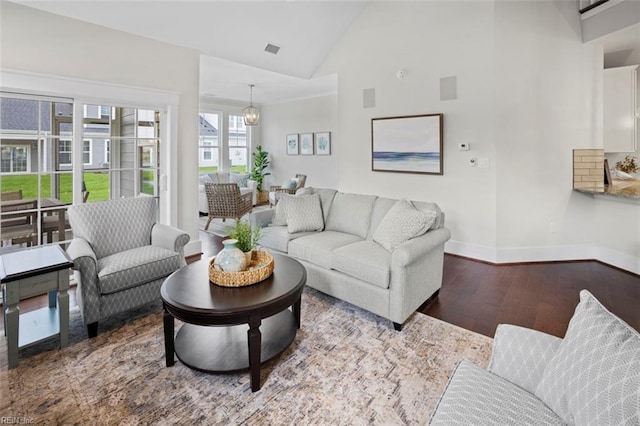 living room featuring wood-type flooring and high vaulted ceiling