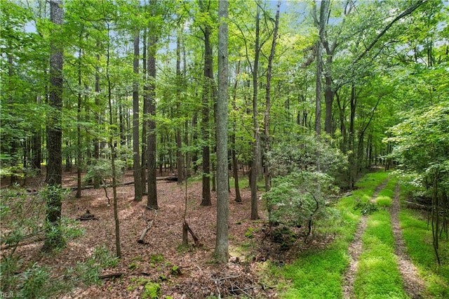 Listing photo 2 for 6.3AC Harris Creek Rd, Hampton VA 23668