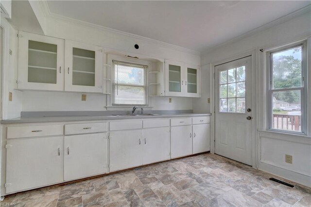 kitchen featuring crown molding, sink, and white cabinets