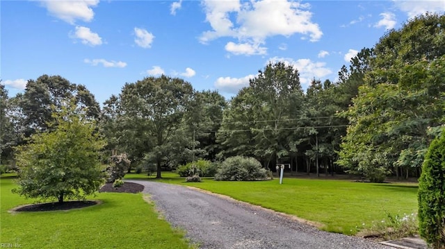 view of home's community with a yard