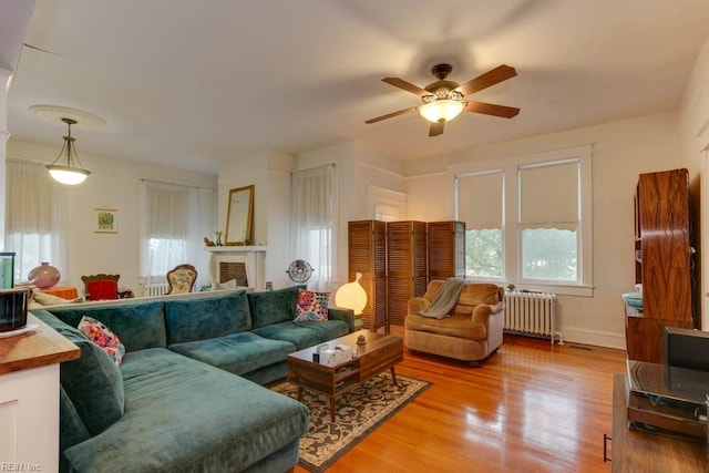 living room featuring radiator heating unit, light hardwood / wood-style flooring, and ceiling fan