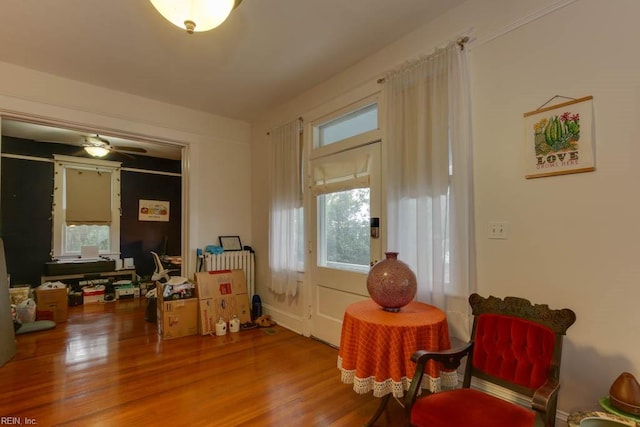 living area featuring radiator heating unit, wood-type flooring, and ceiling fan