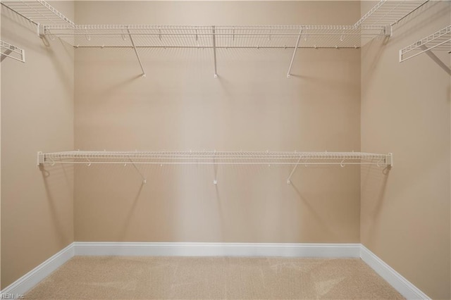 spacious closet with carpet flooring