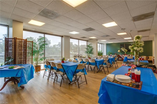 dining area featuring light hardwood / wood-style floors, a wall of windows, and a paneled ceiling