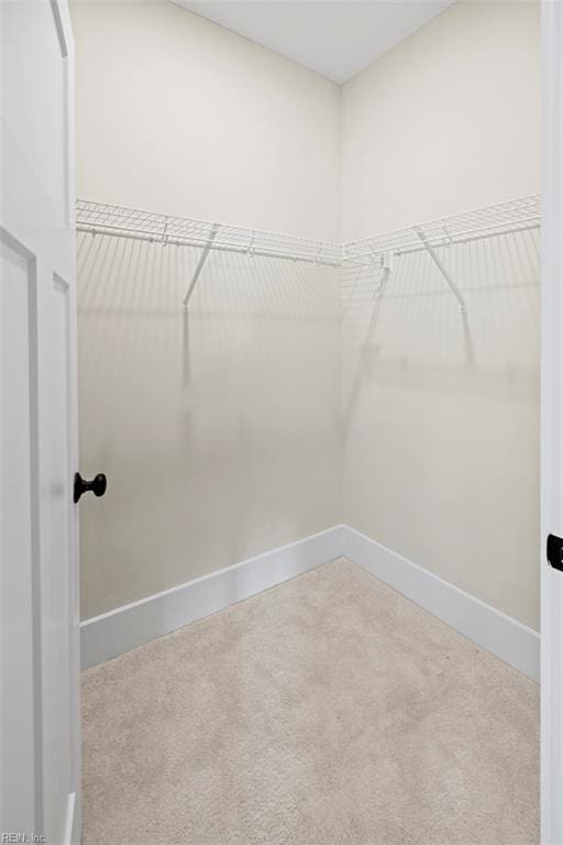 walk in closet featuring carpet flooring