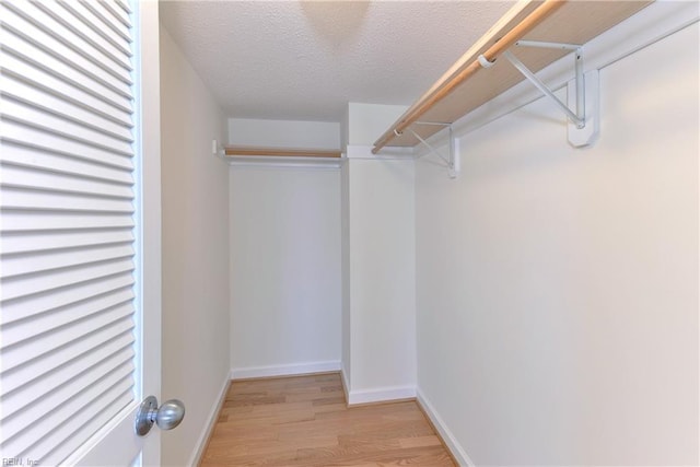 walk in closet featuring light hardwood / wood-style floors