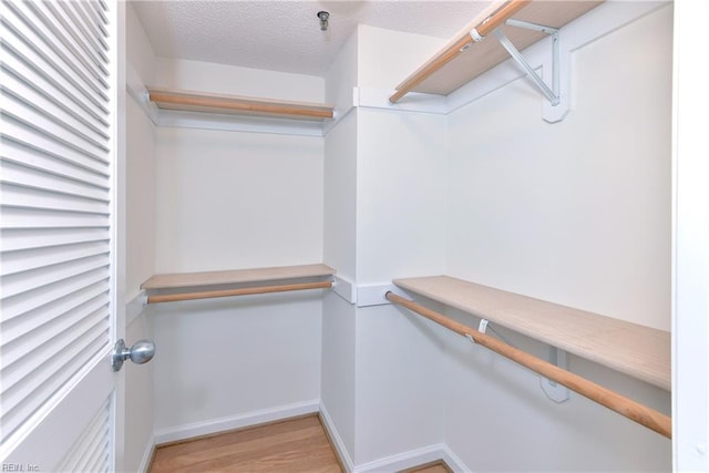 walk in closet featuring light wood-type flooring