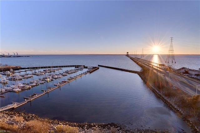 dock area with a water view