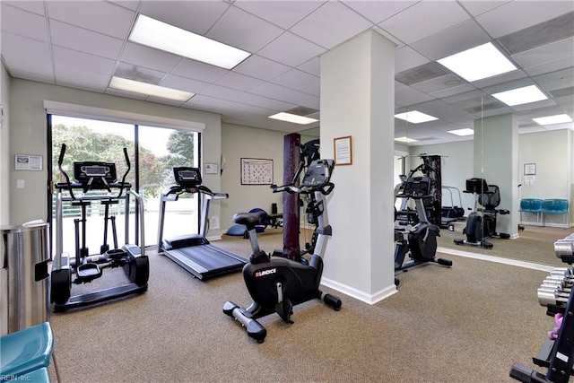 workout area with a paneled ceiling and carpet flooring