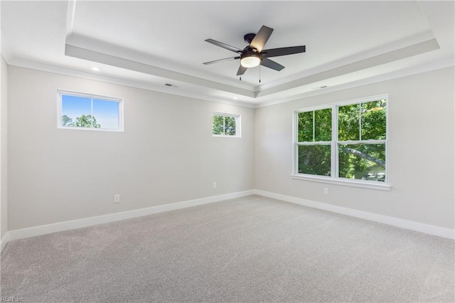 carpeted spare room with a raised ceiling, crown molding, and a healthy amount of sunlight