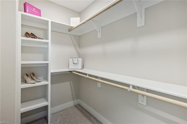 walk in closet featuring carpet floors