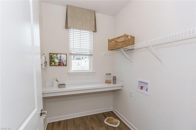 clothes washing area with dark hardwood / wood-style flooring and hookup for a washing machine