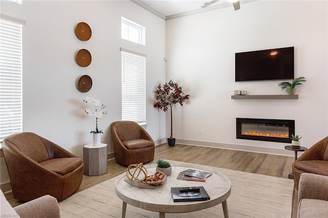 living room featuring ceiling fan, light hardwood / wood-style floors, and ornamental molding