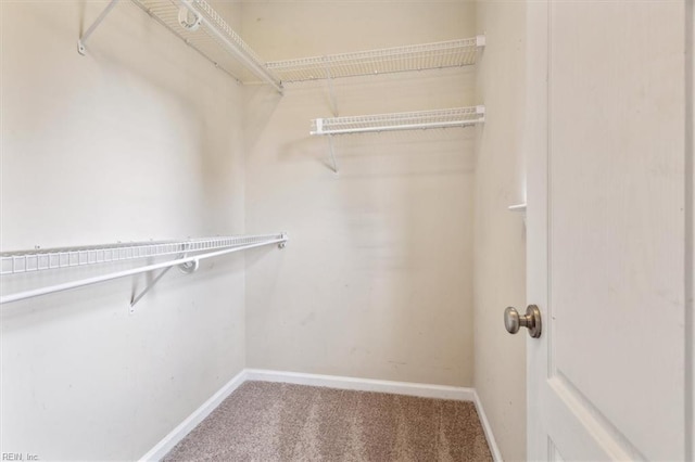 spacious closet with carpet floors