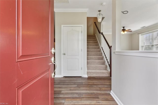 entryway with hardwood / wood-style floors, crown molding, and ceiling fan