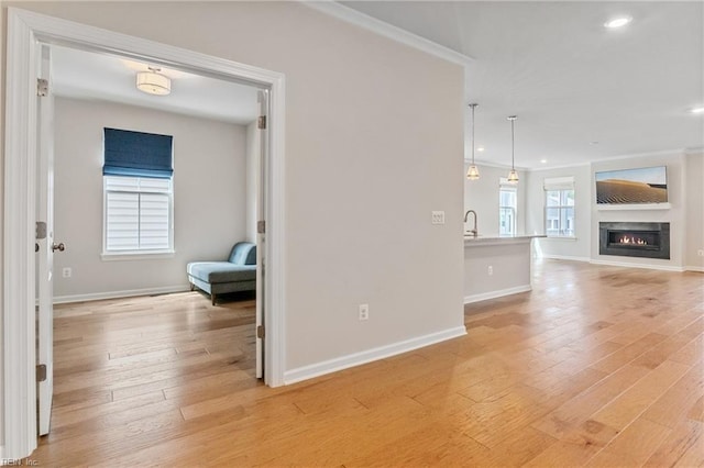 unfurnished living room featuring crown molding, sink, and light hardwood / wood-style floors