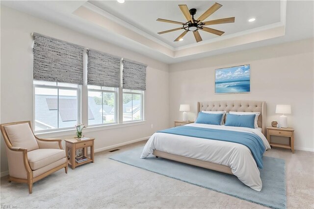 carpeted empty room featuring a raised ceiling