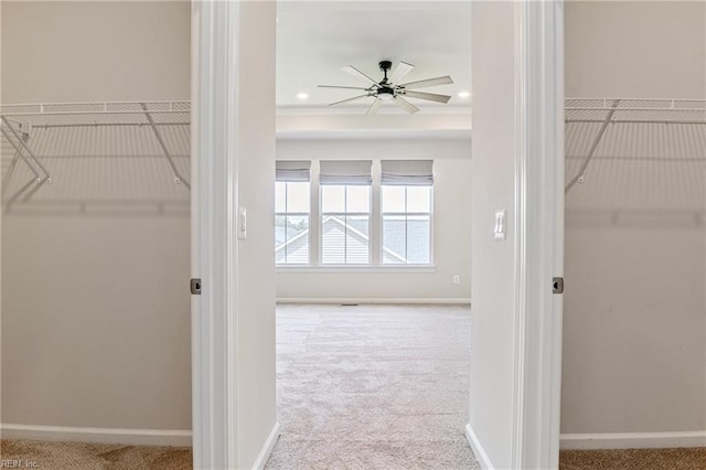 walk in closet with light carpet and ceiling fan