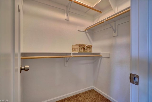 spacious closet with carpet floors