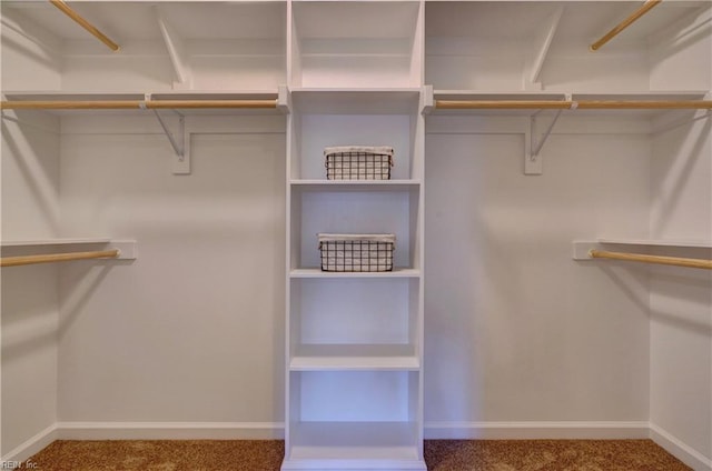 spacious closet featuring carpet floors