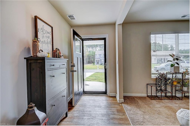 doorway featuring wood-type flooring and plenty of natural light