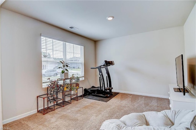 exercise room featuring light carpet