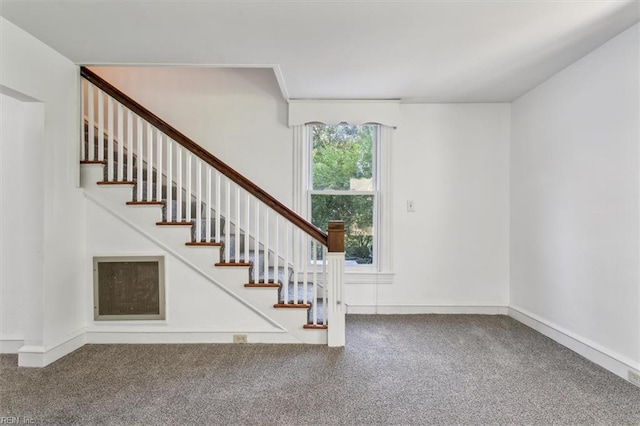 stairs with carpet flooring