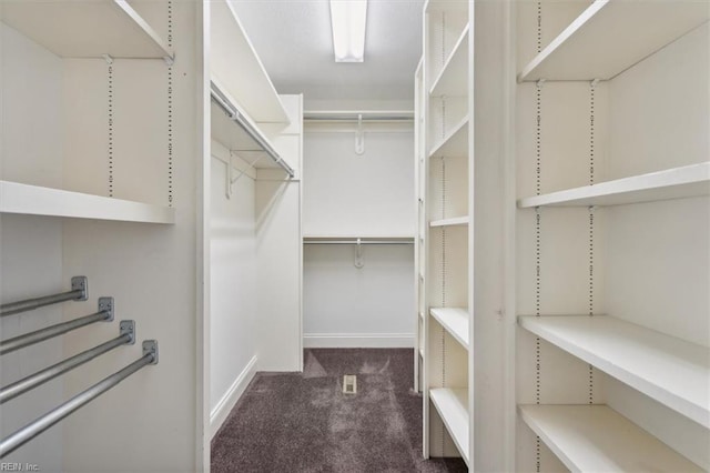 spacious closet featuring carpet